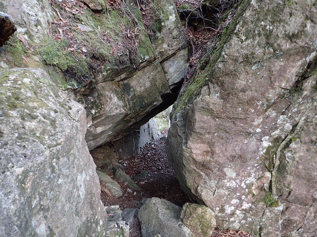 resize0046.jpg