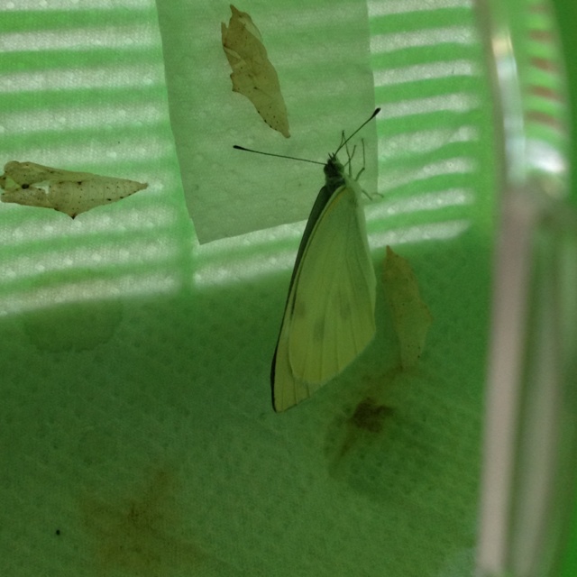 rblog-20130525232248-01.jpg