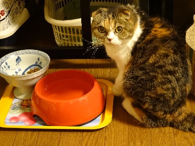 20160609hime.jpg