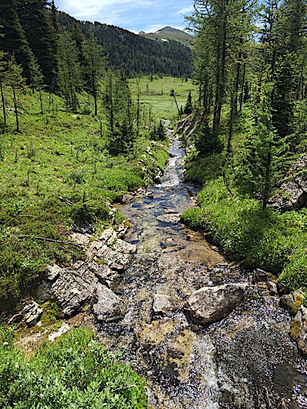 rblog-20180722220922-03.jpg