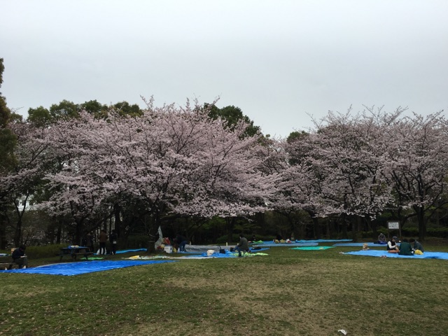 4.2