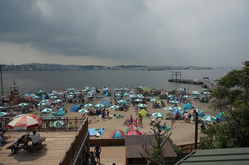 DSC00835.JPG