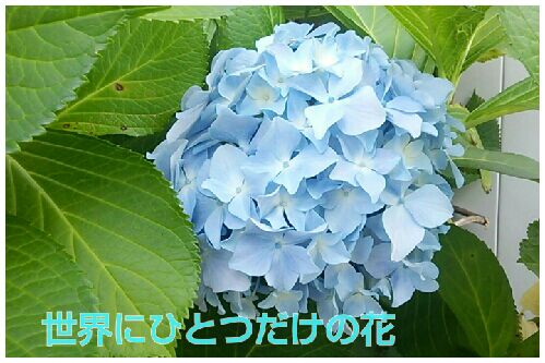 rblog-20160619090443-00.jpg
