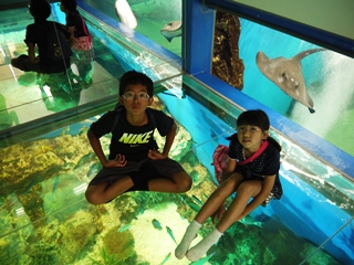 2014年7月27日越前松島水族館 (2)