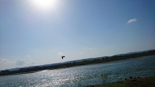 rblog-20190407212138-00.jpg