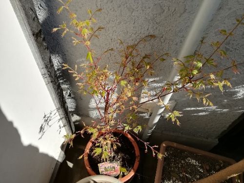 rblog-20180330095200-01.jpg