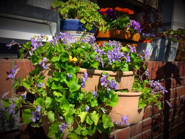 rblog-20150331195641-02.jpg
