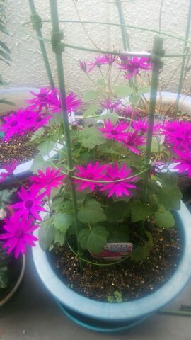 rblog-20150131193742-01.jpg