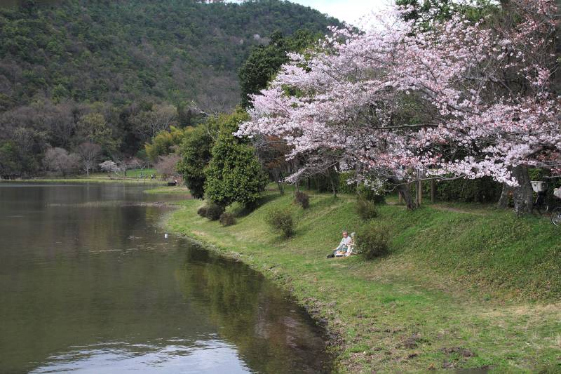 広沢の池_005.jpg
