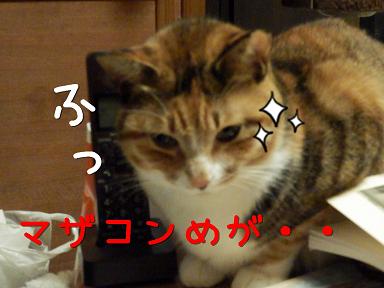 マザコン５.JPG