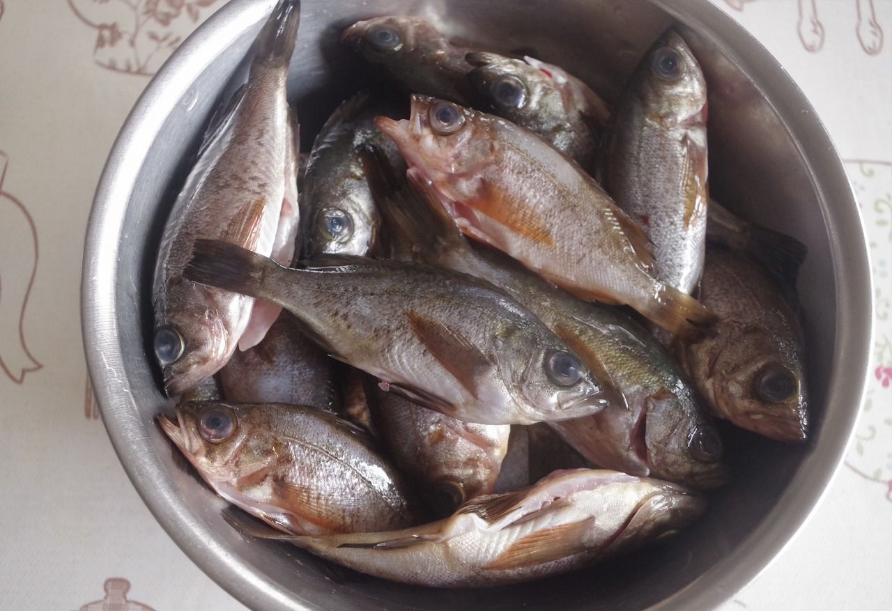 小メバルの甘露煮を作る 雨釣の釣り日記 楽天ブログ
