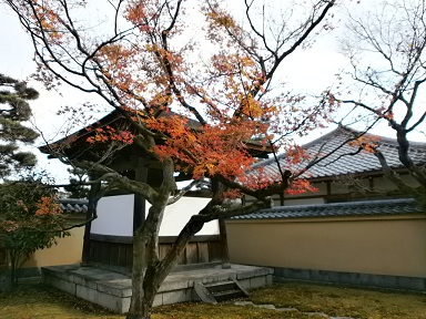 京都　黄梅院