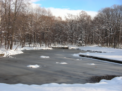 2017-11-20mori9 (1).JPG