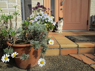 IMG_9860ss.jpg