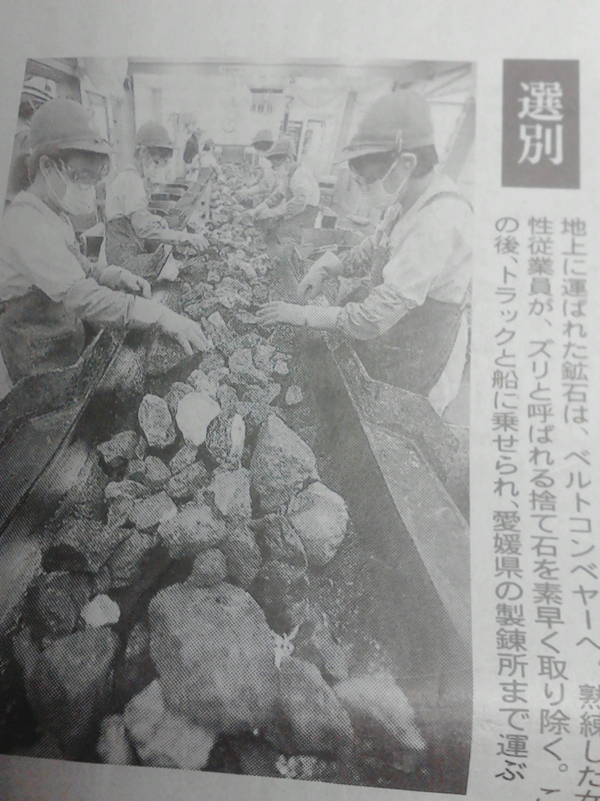 選別.JPG