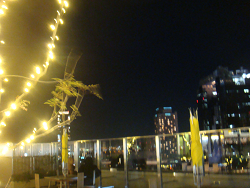 resize2295.jpg