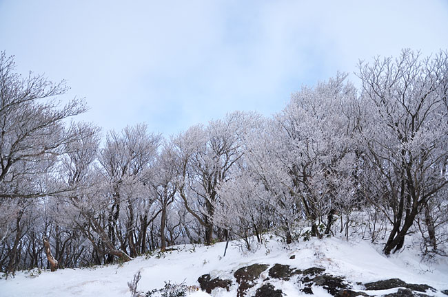 雪４