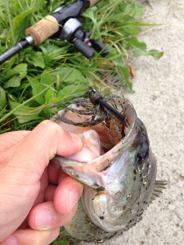 rblog-20140429094426-01.jpg