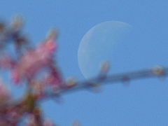conv0667.JPG