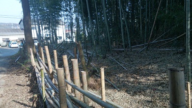 施行後