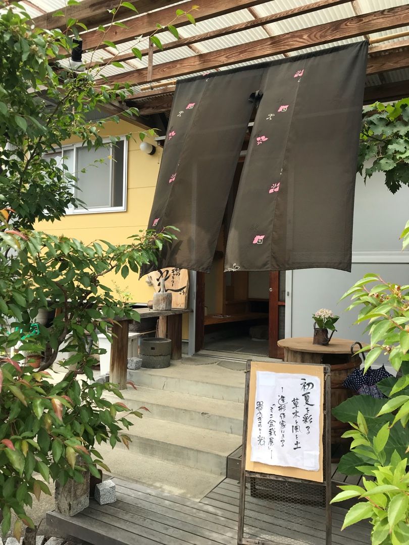 家の中で 緑 を感じて 亜遊5のブログ 楽天ブログ