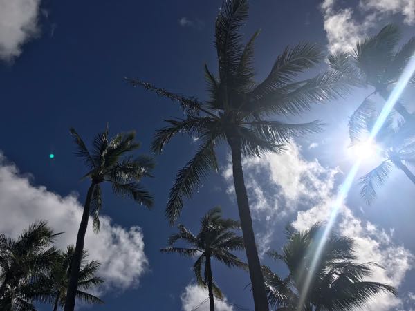 rblog-20190108145823-06.jpg