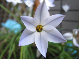 IMG_1846.JPG