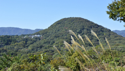 甲山12