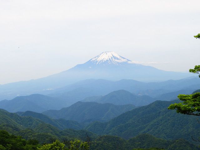 丹沢登山（2）塔ノ岳山頂→丹沢山山頂 | 星とカワセミ好きのブログ - 楽天ブログ
