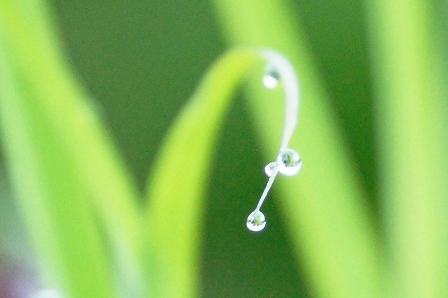 DSC09680.jpg