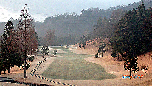 P1072307h2.jpg