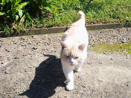 2012年10月02日_IMGP9957.jpg