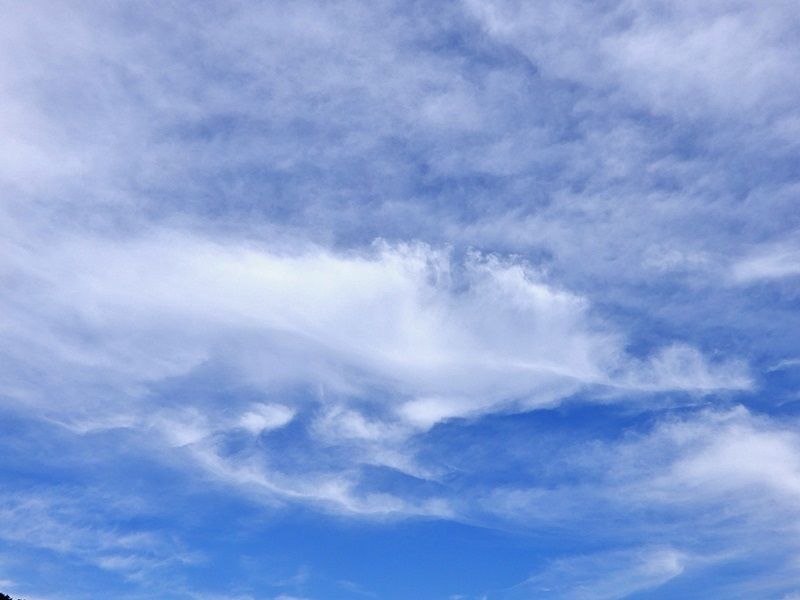 空2