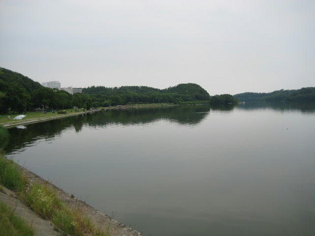 IMG_8788.JPG