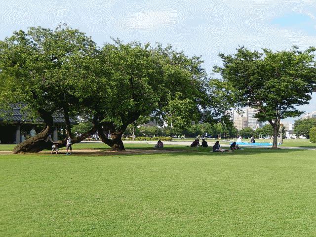 公園アニメ