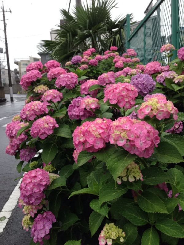 rblog-20140608230502-02.jpg
