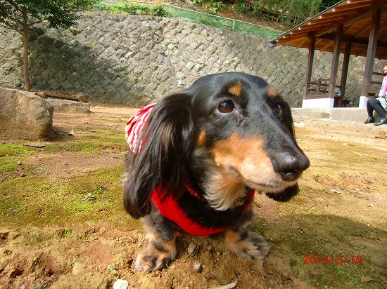 春らんまん、伊東公園 020.jpg