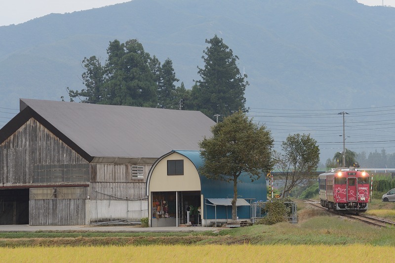 小出-007