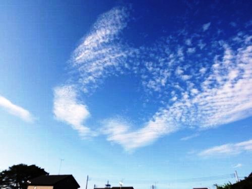 DSCF3741_SP0000-b.jpg