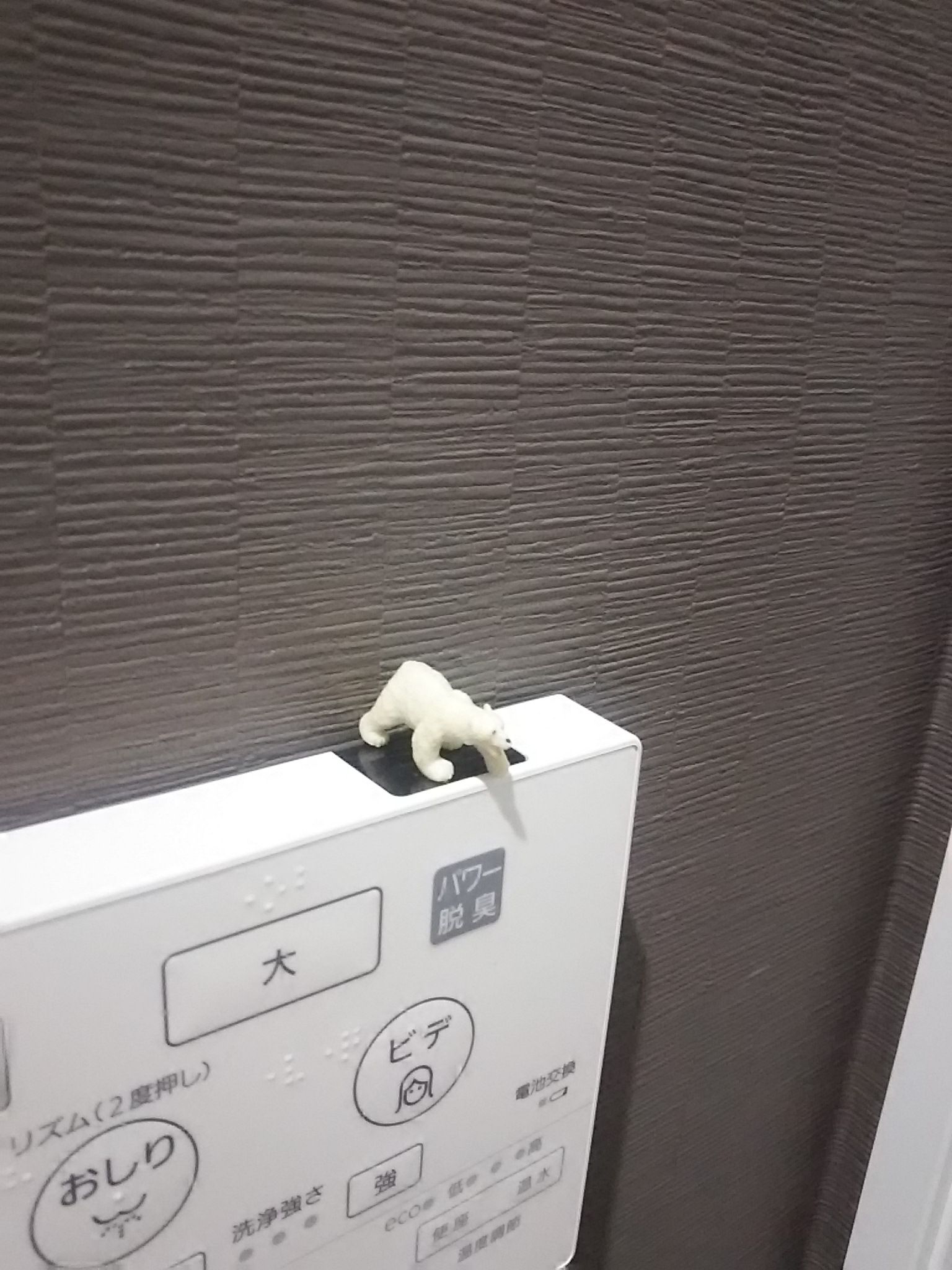 トイレの紹介 １階トイレ 猫と１マス吹き抜けのi Smartブログ 楽天ブログ
