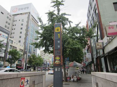 初秋の韓国釜山旅行３日目 鎮市場 海雲台ビーチ らららrabbit Room 楽天ブログ