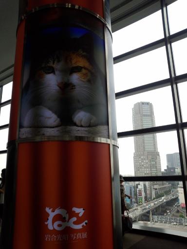 IMG_20130822_111138573.jpg