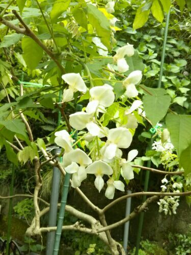 rblog-20180416093709-04.jpg