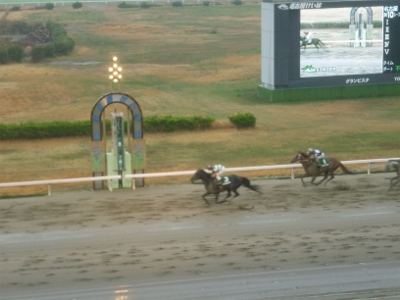 P1040743 (400x300).jpg