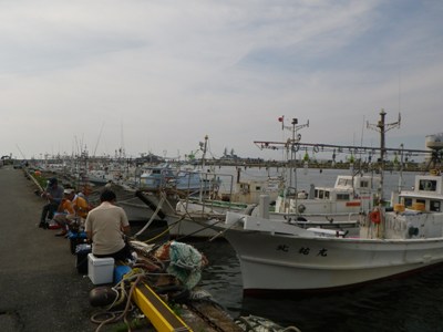 IMGP4244.JPG