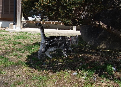DSC_0015.JPG