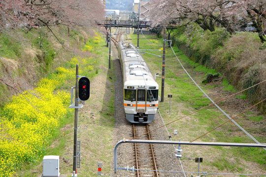2016 03 30_2132.jpg