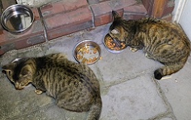 5DA_9203-14.jpg