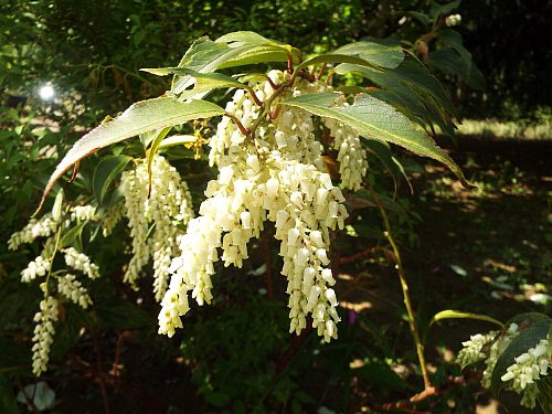 seiyounantenn-1-b.jpg