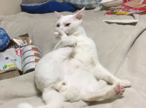 マロちゃん悩殺ポーズ